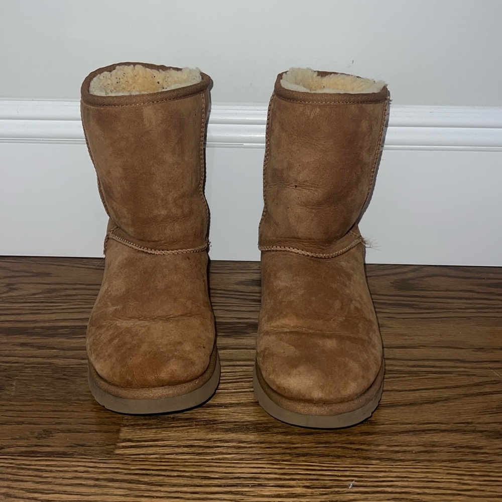 Short Chestnut Uggs